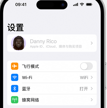 东升镇appleID维修服务iPhone设置中Apple ID显示为灰色无法使用 