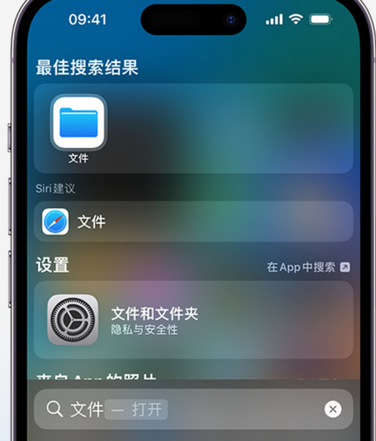 东升镇apple维修中心分享iPhone文件应用中存储和找到下载文件 