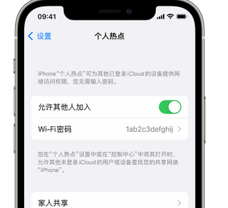 东升镇apple服务站点分享iPhone上个人热点丢失了怎么办