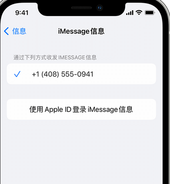 东升镇apple维修iPhone上无法正常发送iMessage信息 