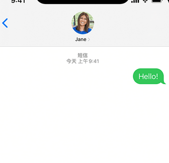 东升镇apple维修iPhone上无法正常发送iMessage信息