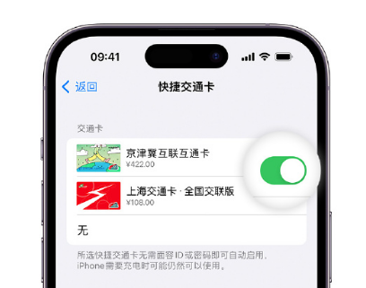 东升镇apple维修点分享iPhone上更换Apple Pay快捷交通卡手绘卡面 