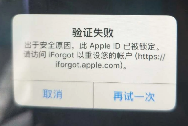 东升镇iPhone维修分享iPhone上正常登录或使用AppleID怎么办 