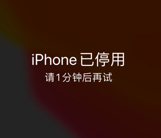 东升镇苹果手机维修分享:iPhone 显示“不可用”或“已停用”怎么办？还能保留数据吗？ 