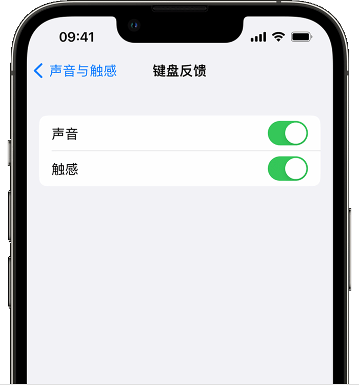 东升镇苹果14维修店分享如何在 iPhone 14 机型中使用触感键盘 