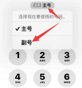 东升镇苹果14维修店分享iPhone 14 Pro Max使用副卡打电话的方法 