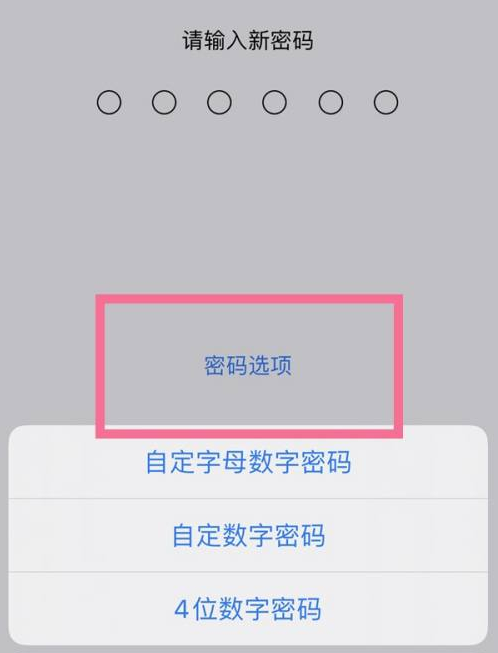 东升镇苹果14维修分享iPhone 14plus设置密码的方法 