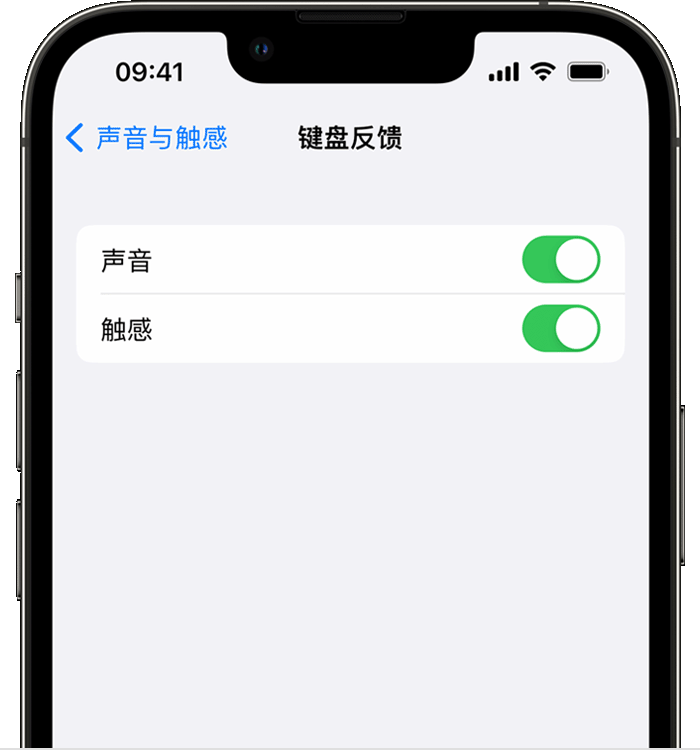 东升镇苹果14维修分享iPhone 14 系列机型如何开启键盘声音或触感反馈 