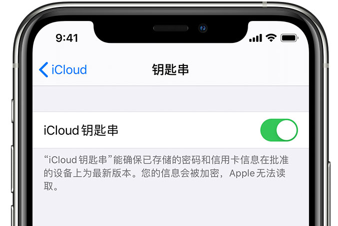 东升镇苹果手机维修分享在 iPhone 上开启 iCloud 钥匙串之后会储存哪些信息 