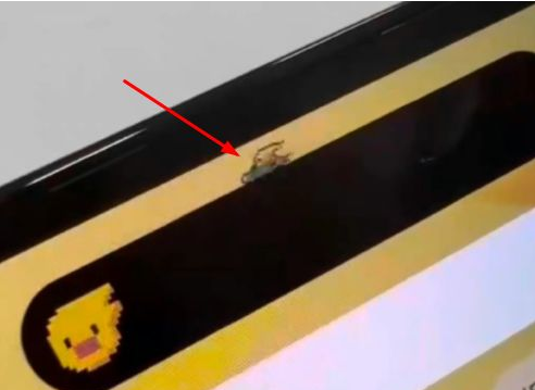 东升镇苹果14维修分享iPhone 14 Pro Max灵动岛怎么养宠物 
