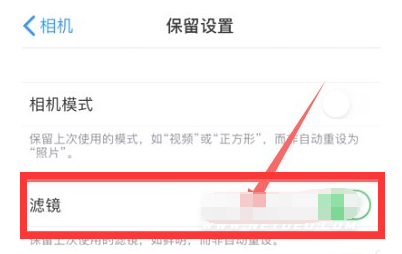 东升镇苹果13维修分享iPhone13拍照有绿点是怎么回事 