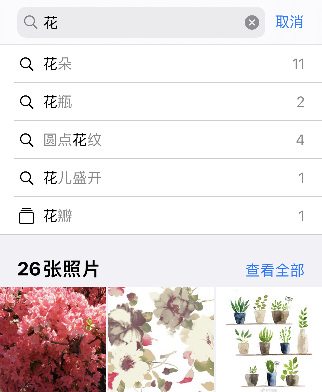 东升镇苹果手机维修分享iPhone 小技巧 