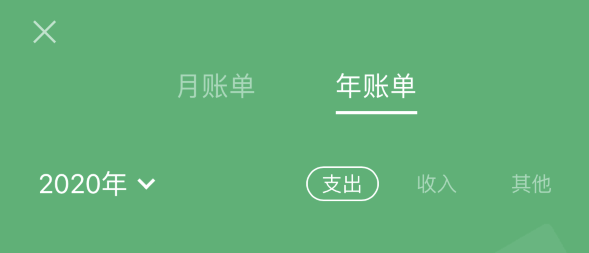 东升镇苹果手机维修分享如何在 iPhone 上查看支付宝和微信年支出账单 